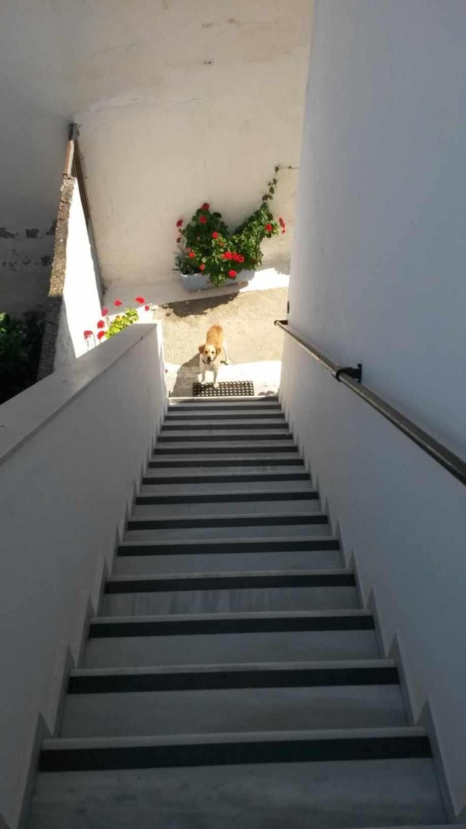 Kostas Studios Apartments - Ενοικιαζόμενα Δωμάτια Με Κουζινάκι Myrina Exterior photo